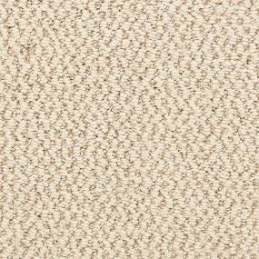 Pattern Sensible Beige/Tan Carpet