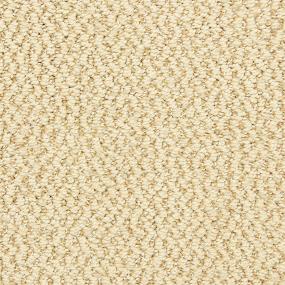 Pattern Sequin Beige/Tan Carpet