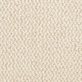 Pattern Reflection Beige/Tan Carpet