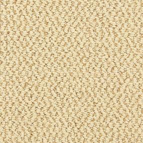 Pattern Moderate Beige/Tan Carpet