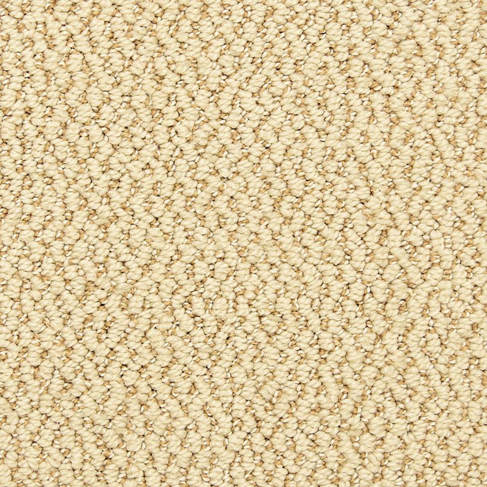 Pattern Moderate Beige/Tan Carpet