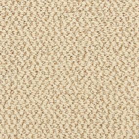 Pattern Crescent Beige/Tan Carpet