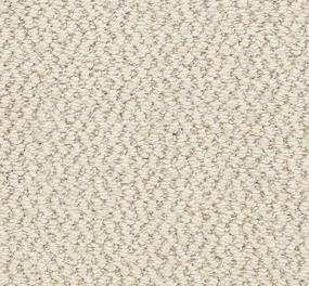 Pattern Link Beige/Tan Carpet