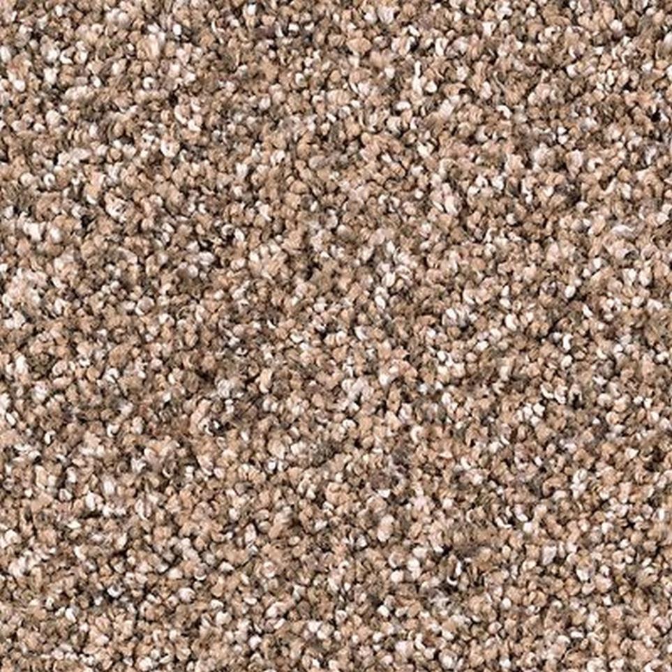 Textured Saxony Hazelnut Brown Carpet