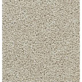 Textured Saxony Notable Beige/Tan Carpet