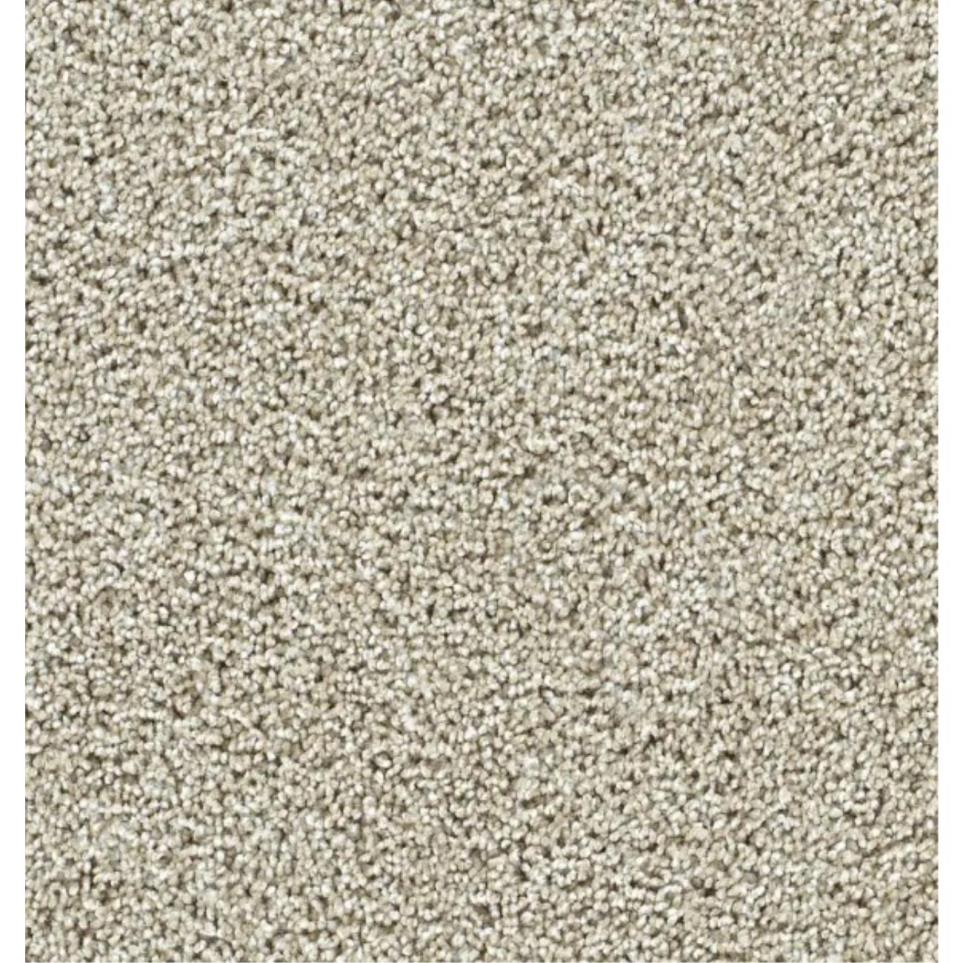Textured Saxony Notable Beige/Tan Carpet