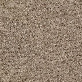 Textured Saxony Sundial Brown Carpet