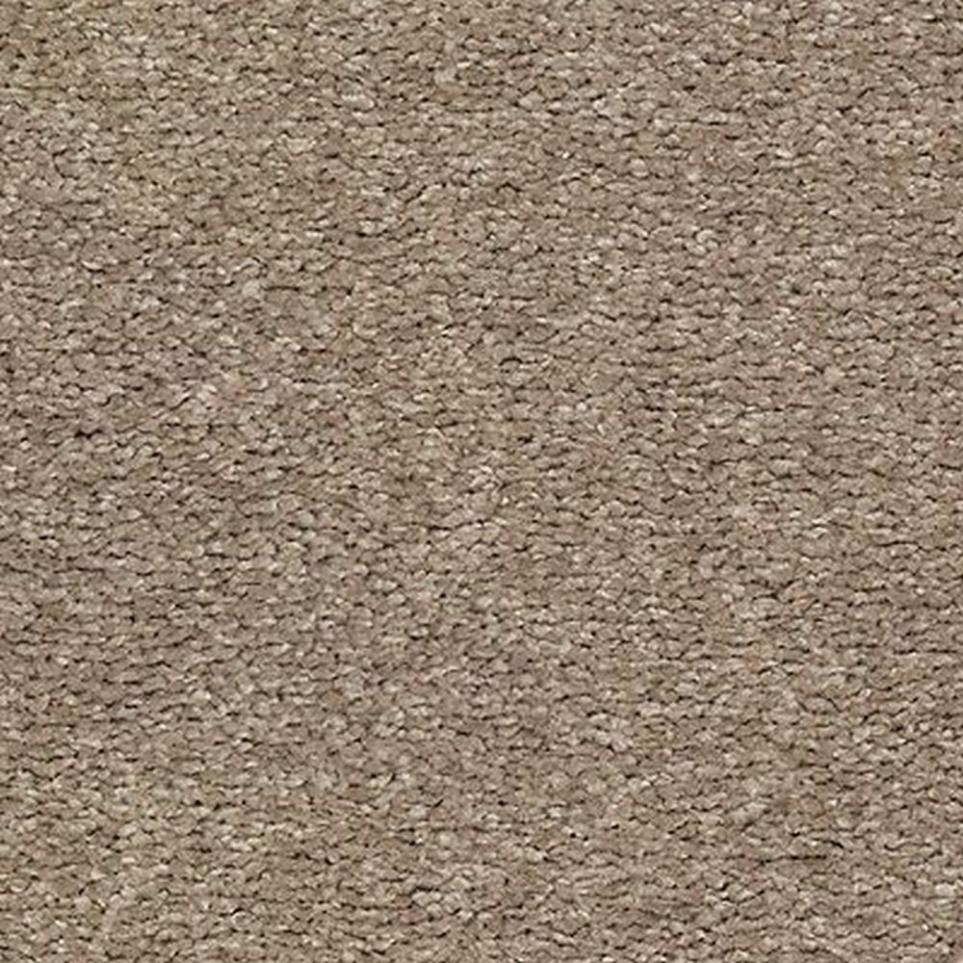 Textured Saxony Sundial Brown Carpet
