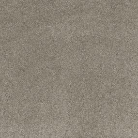 Textured Saxony Casual Setting Beige/Tan Carpet