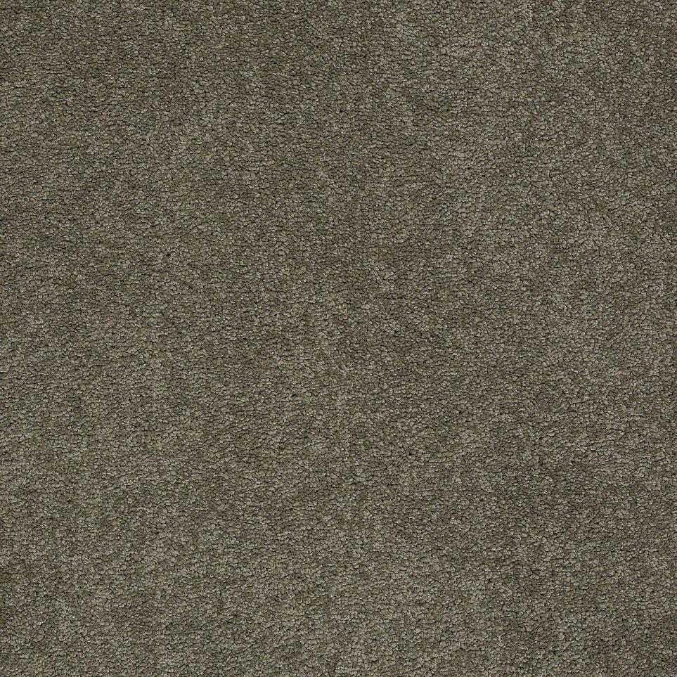 Texture Pine Cone Brown Carpet