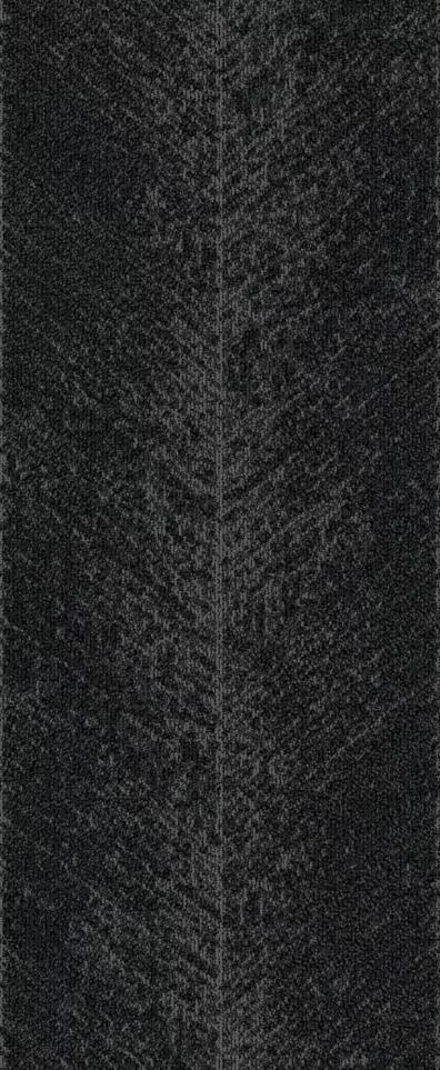 Pattern Journey Black Carpet