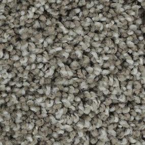 Textured Saxony Stone Manor Gray Carpet