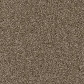 Textured Saxony Barley There Brown Carpet