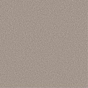 Textured Saxony Stucco Beige/Tan Carpet