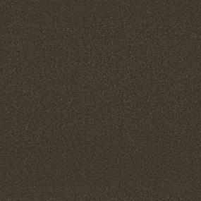 Textured Saxony Outerbanks Brown Carpet