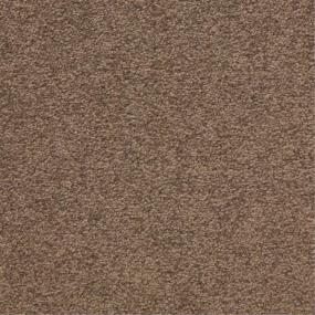 Casual Texture Townhall Brown Carpet