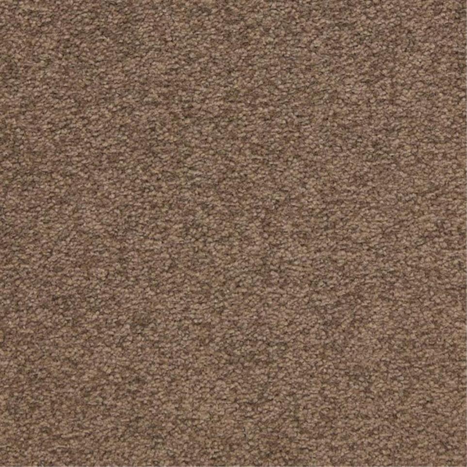 Casual Texture Townhall Brown Carpet