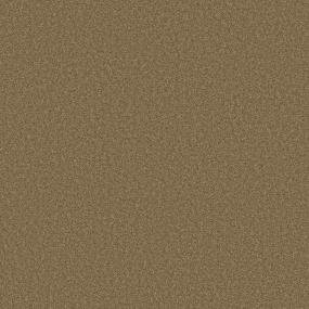 Textured Saxony Toasty Warm Brown Carpet