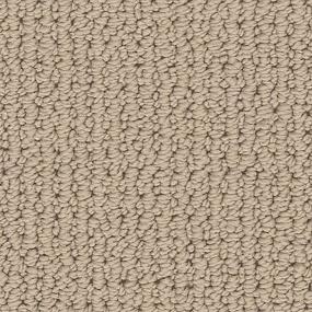 Loop Cascade Brown Carpet