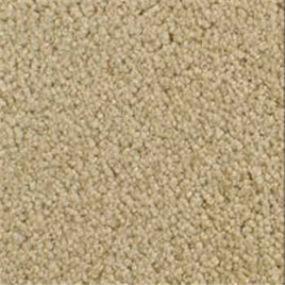 Texture  Beige/Tan Carpet
