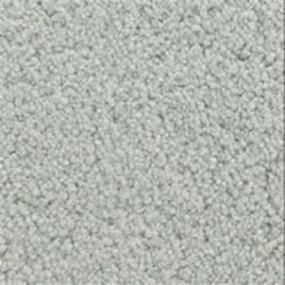 Texture  Gray Carpet