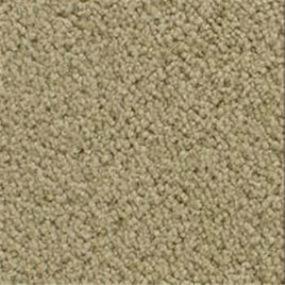 Texture Willow Wood Beige/Tan Carpet