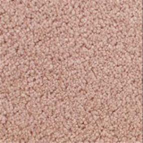 Texture Toasted Rose Pink Carpet