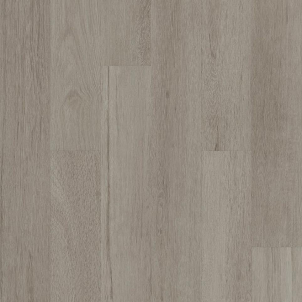 Tile Plank Petrified Gray Finish Vinyl