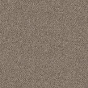 Textured Saxony Valley Court Beige/Tan Carpet