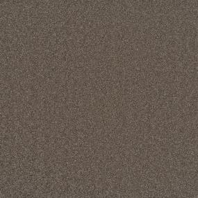 Casual Texture Mountain Mist Beige/Tan Carpet
