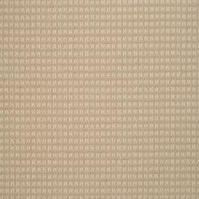 Loop Malt Beige/Tan Carpet