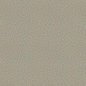 Textured Saxony Casino Beige/Tan Carpet
