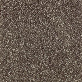 Textured Saxony Cobble Path Brown Carpet