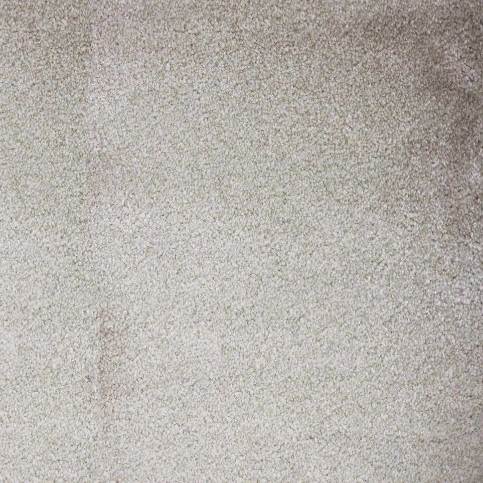 Plush Pearl Beige/Tan Carpet