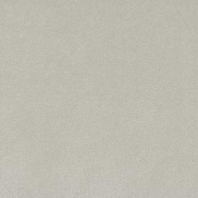 Textured Saxony Class Act White Carpet