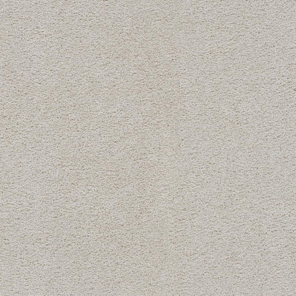 Textured Saxony Class Act White Carpet