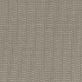 Loop Fogged Fawn Beige/Tan Carpet
