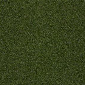 Pattern Oasis Green Carpet