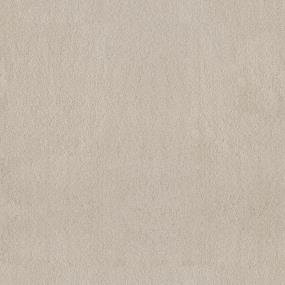 Textured Saxony Stucco Beige/Tan Carpet