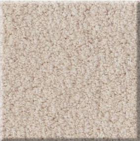 Plush Stucco Beige/Tan Carpet