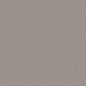 Texture Storm Cloud Gray Carpet
