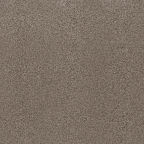 Textured Saxony Thoroughbred Brown Carpet