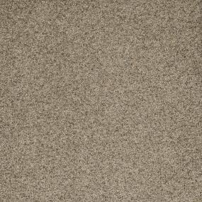 Textured Saxony Thoroughbred Brown Carpet