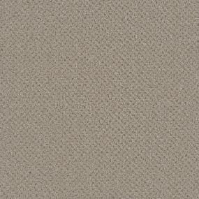 Pattern Prominent Beige/Tan Carpet