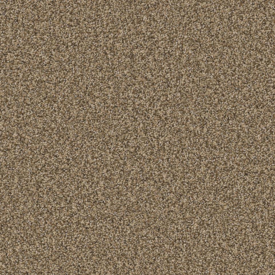 Texture Butterscotch Beige/Tan Carpet