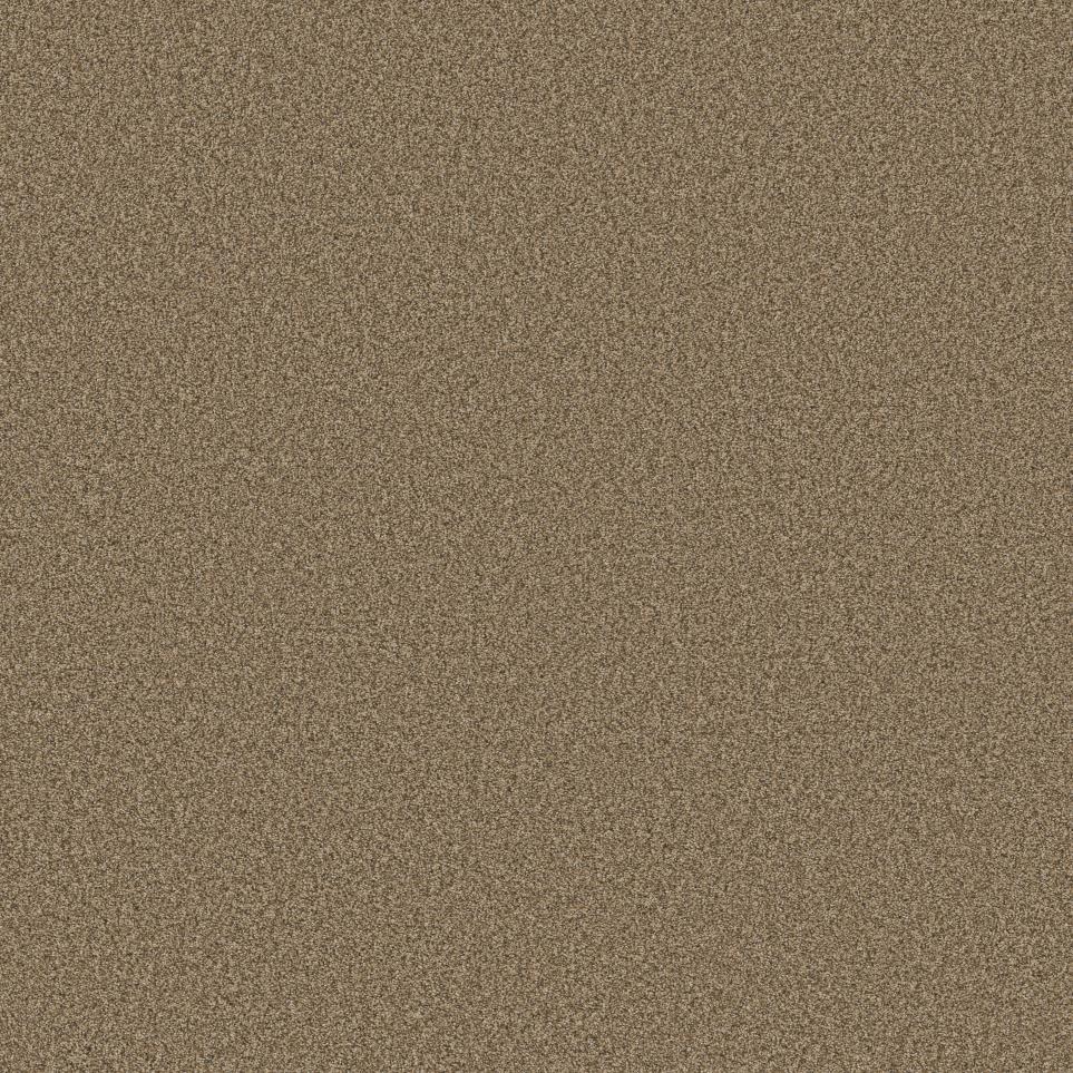 Texture Butterscotch Beige/Tan Carpet