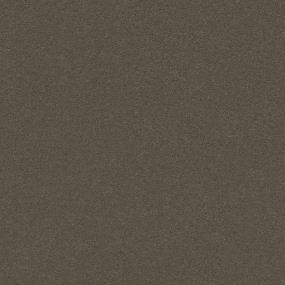 Textured Saxony Aluminum Brown Carpet