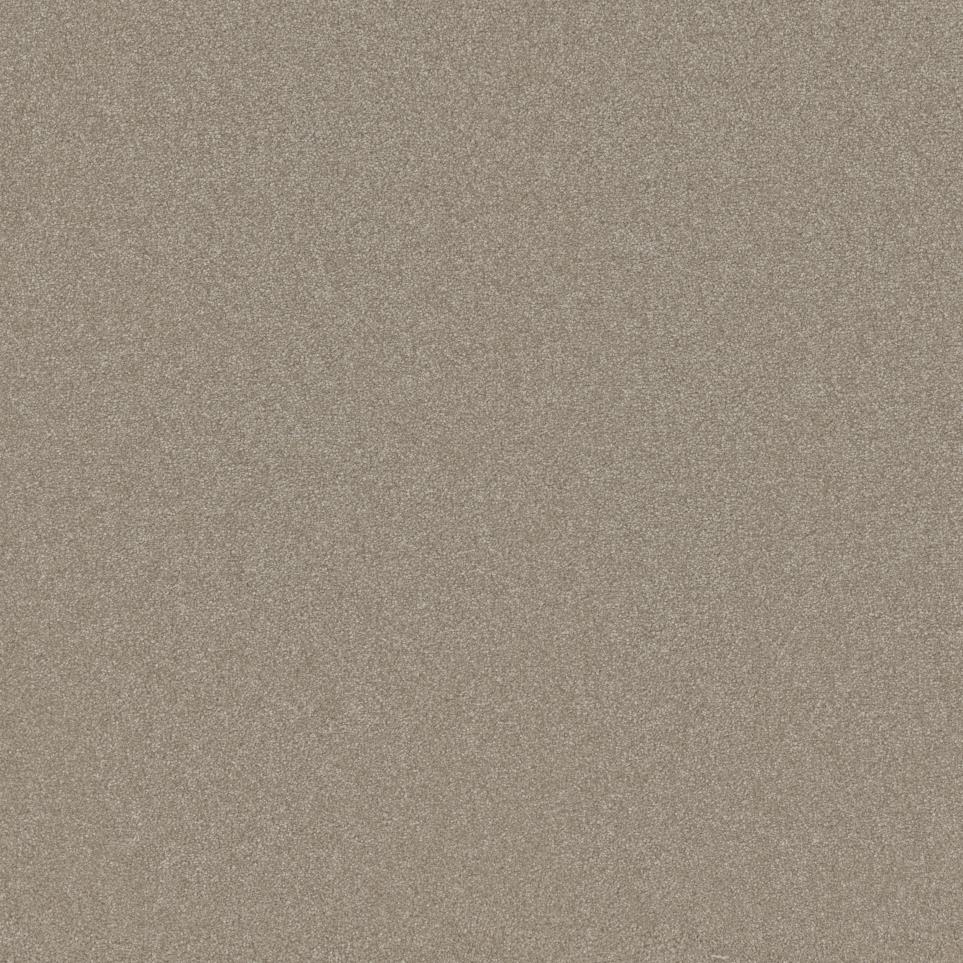 Textured Saxony Desirable Beige/Tan Carpet