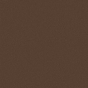 Texture Terracotta Brown Carpet