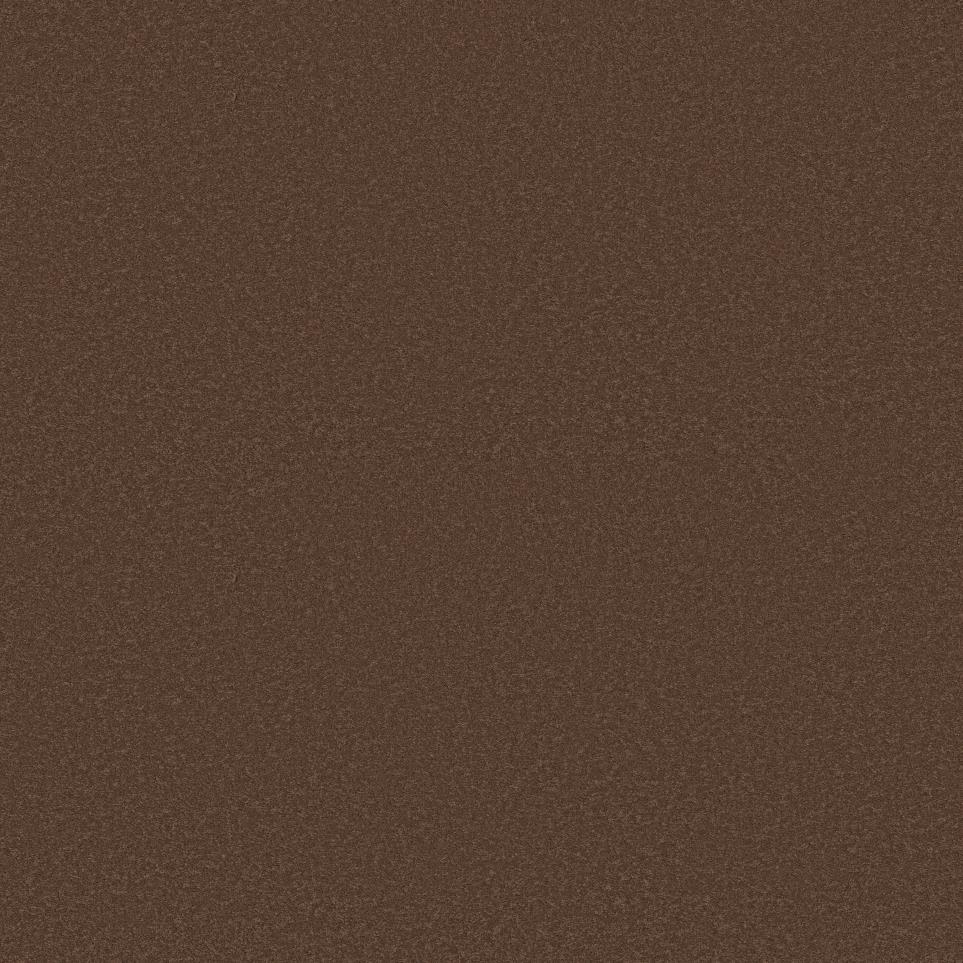 Texture Terracotta Brown Carpet